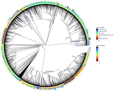 Antimicrobial resistance genes and associated mobile genetic elements in Lactobacillales from various sources